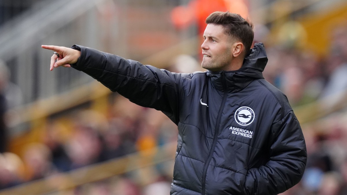 Fabian Hurzeler feels Brighton deserved more than a late equaliser at Wolves