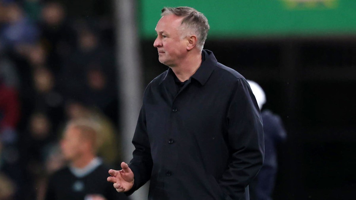 Northern Ireland boss Michael O’Neill praises the ‘real quality’ of Jamie Donley