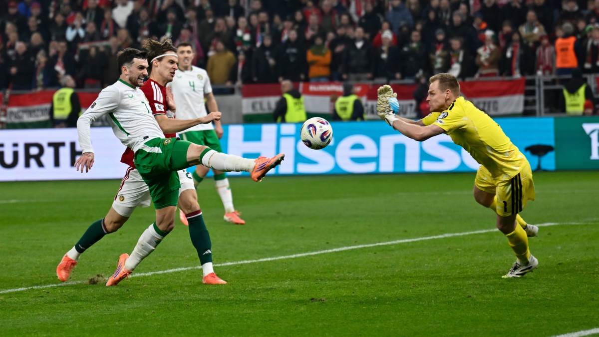 Ireland’s Troy Parrott: I don’t think I’ll ever have a better night in my life